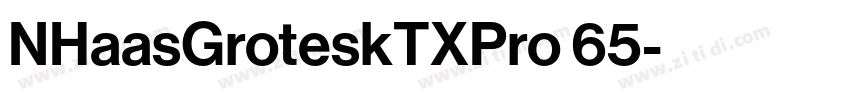 NHaasGroteskTXPro 65字体转换 NHaasGroteskTXPro 65字体转换